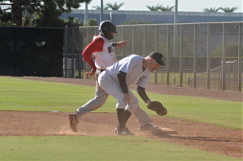 Seals_2019-10-09 (374).JPG - (c)2010 DeVetter